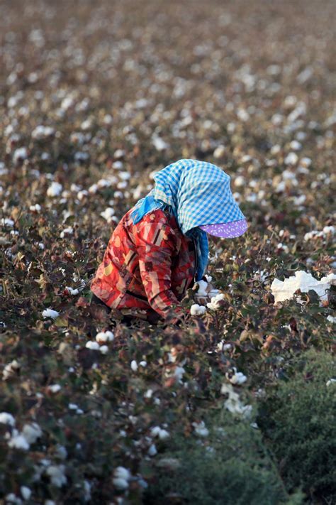 versace child labour|Luxury brands aren’t doing enough to eliminate forced labour, .